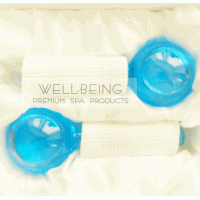 Boules glacées pour Massage  '' Ice Globe''